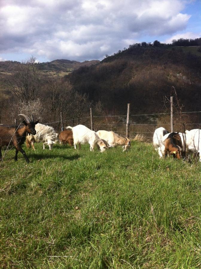 Agriturismo Il Covo Del Solengo Valtopina Exterior foto