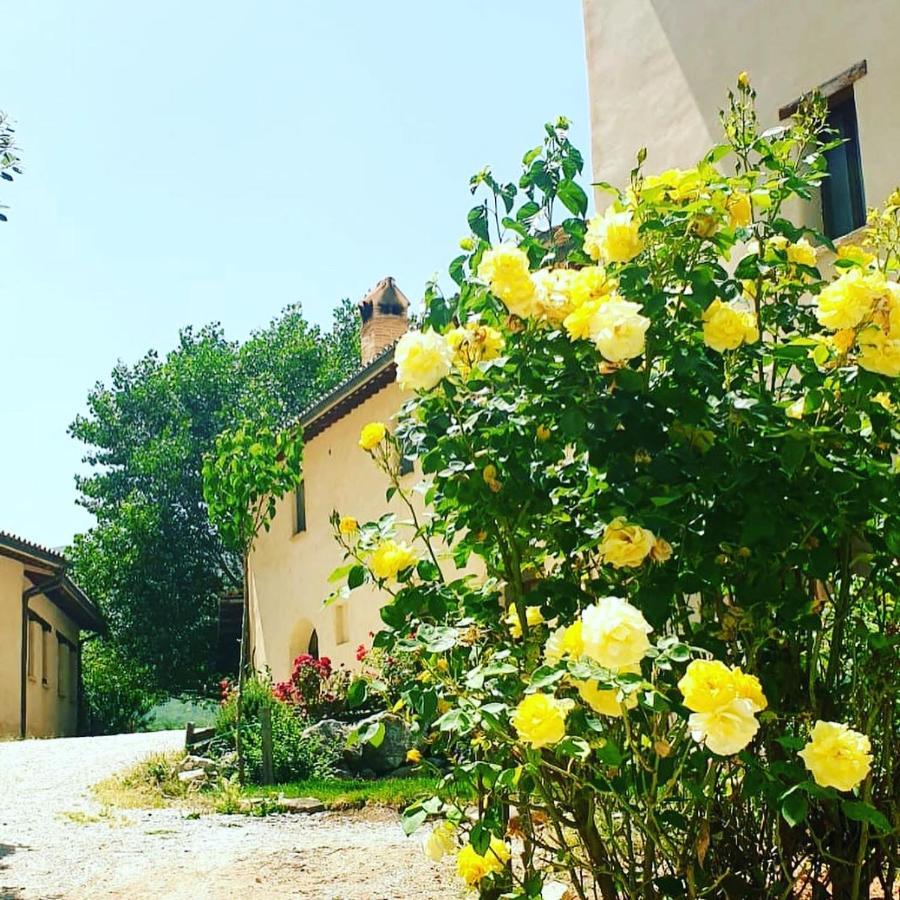 Agriturismo Il Covo Del Solengo Villa Valtopina Exterior foto