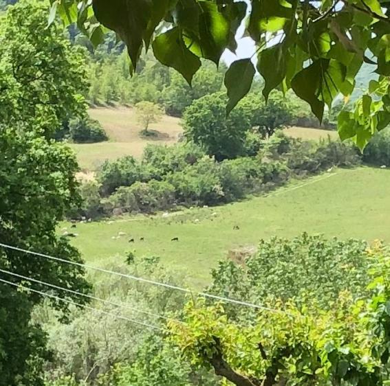 Agriturismo Il Covo Del Solengo Valtopina Exterior foto