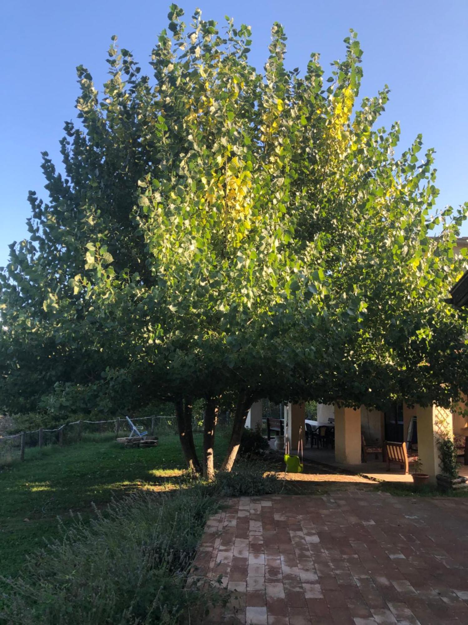 Agriturismo Il Covo Del Solengo Valtopina Exterior foto